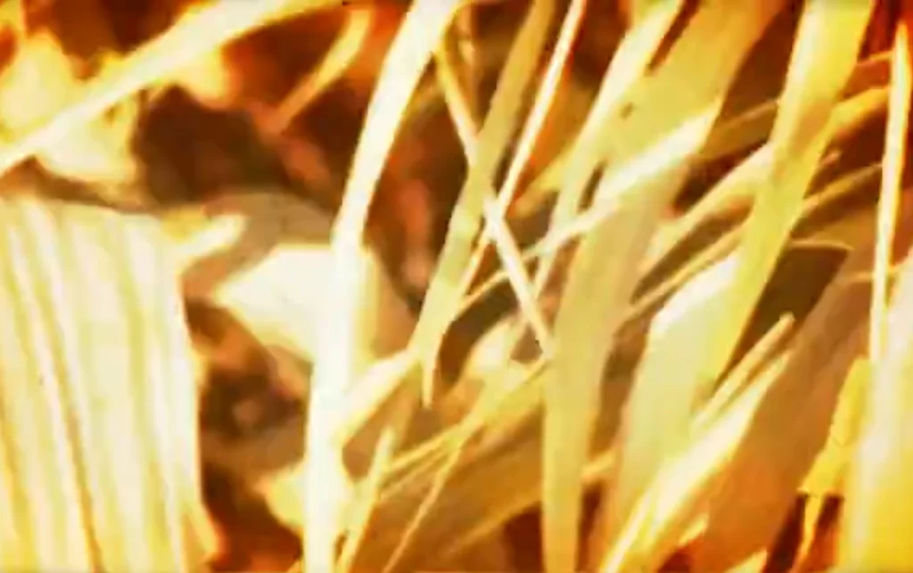 Interludios de videoarte en Super 8mm y VHS para el espectáculo flamenco "Vaivenes" de Javier Barón.
