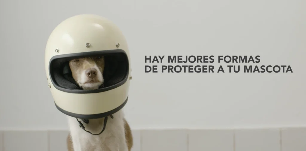 Campaña vacunación microchip mascotas Andalucía veterinarios.