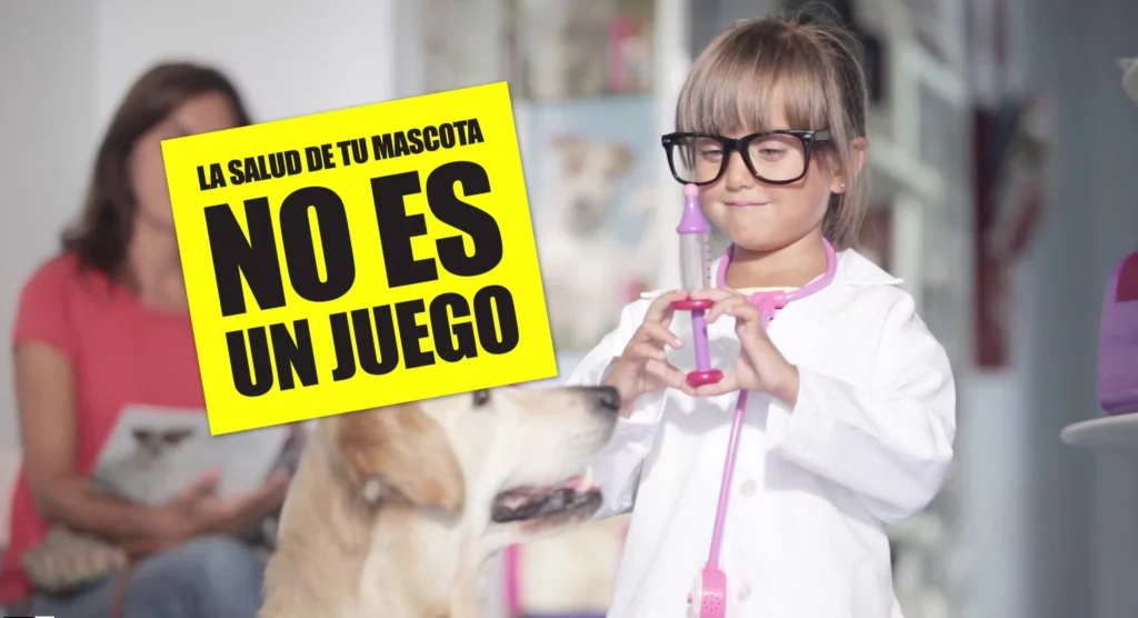 Campaña de concienciación sobre la importancia de la salud veterinaria para mascotas en Andalucía.